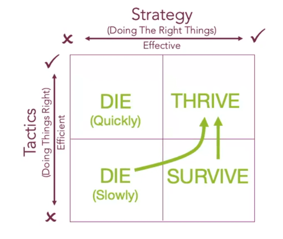 Strategy-And-Tactics-Live-In-The-Thrive-Box