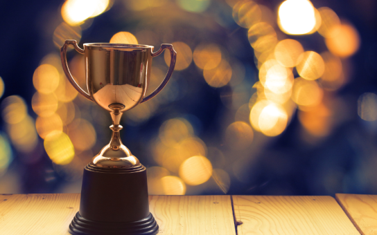 trophy on a table with twinkly lights